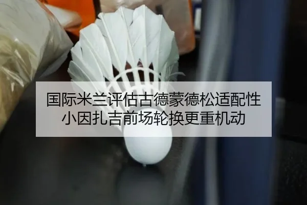 国际米兰评估古德蒙德松适配性 小因扎吉前场轮换更重机动